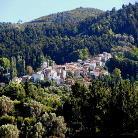 Παραδοσιακά σπίτια στην Καστανιά Σάμου, μέσα σε καταπράσινο τοπίο.
