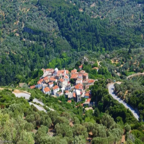 Τοπίο στο Νεοχώρι Σάμου με παραδοσιακά σπίτια και φυσική βλάστηση.