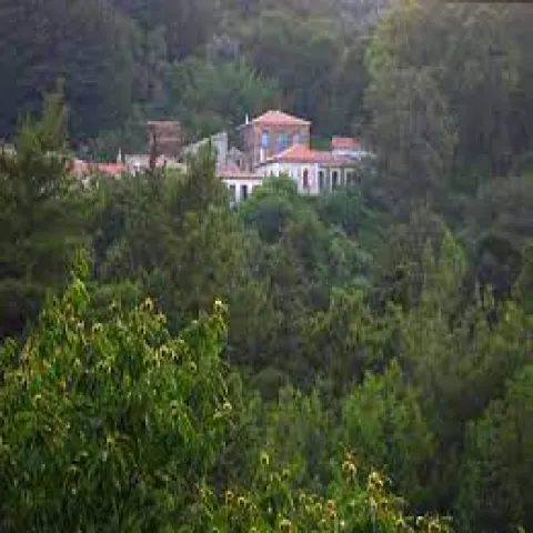 Οικισμός Νικολούδων Σάμου με λίγα σπίτια μέσα στο πράσινο και θέα στο τοπίο της νότιας Σάμου.