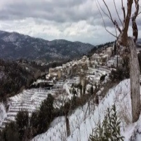 Traditionelle Häuser in Pandrosos auf Samos mit grünem Bergpanorama.