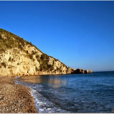 Η αιωνόβια βελανιδιά στα Κουμαίικα Σάμου με φόντο τον κάμπο του Μαραθόκαμπου.