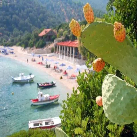 Παραλία Λιμνιώνας στη Σάμο με βότσαλα, καταγάλανα νερά και παραδοσιακές ταβέρνες.