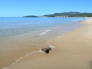 Η παραλία Ψιλή Άμμος Μαραθοκάμπου με χρυσή άμμο και ήρεμα ρηχά νερά